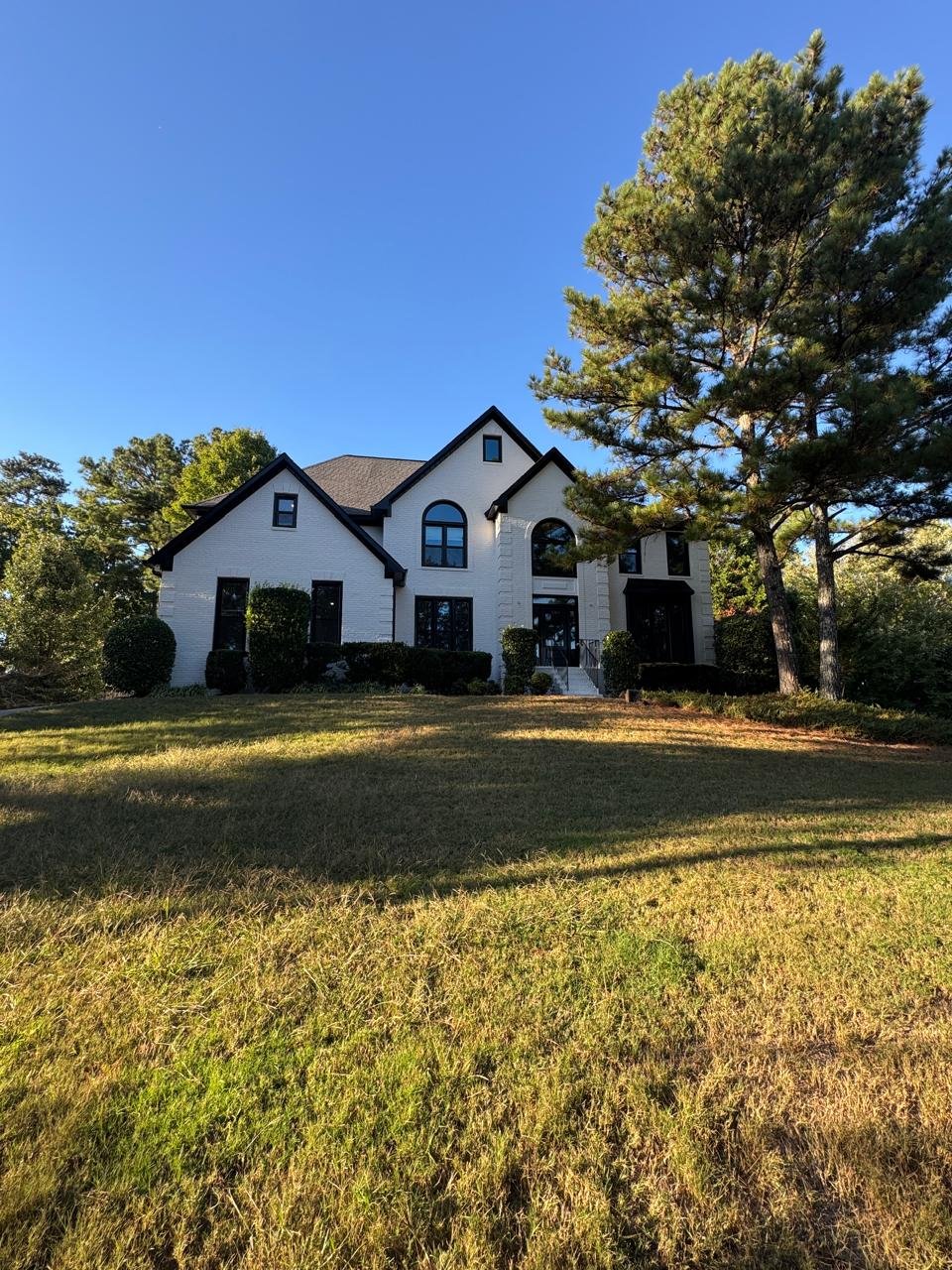 Deck elevado con piscina en bosque